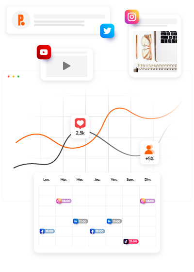 Infographie Gestion des réseaux sociaux